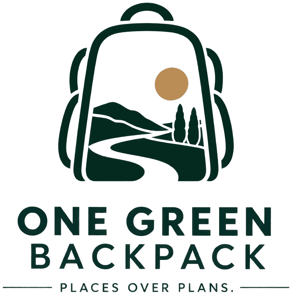 ONE GREEN BACKPACK